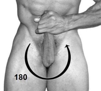 Helicopter Exercise for male strength and penis enlargement